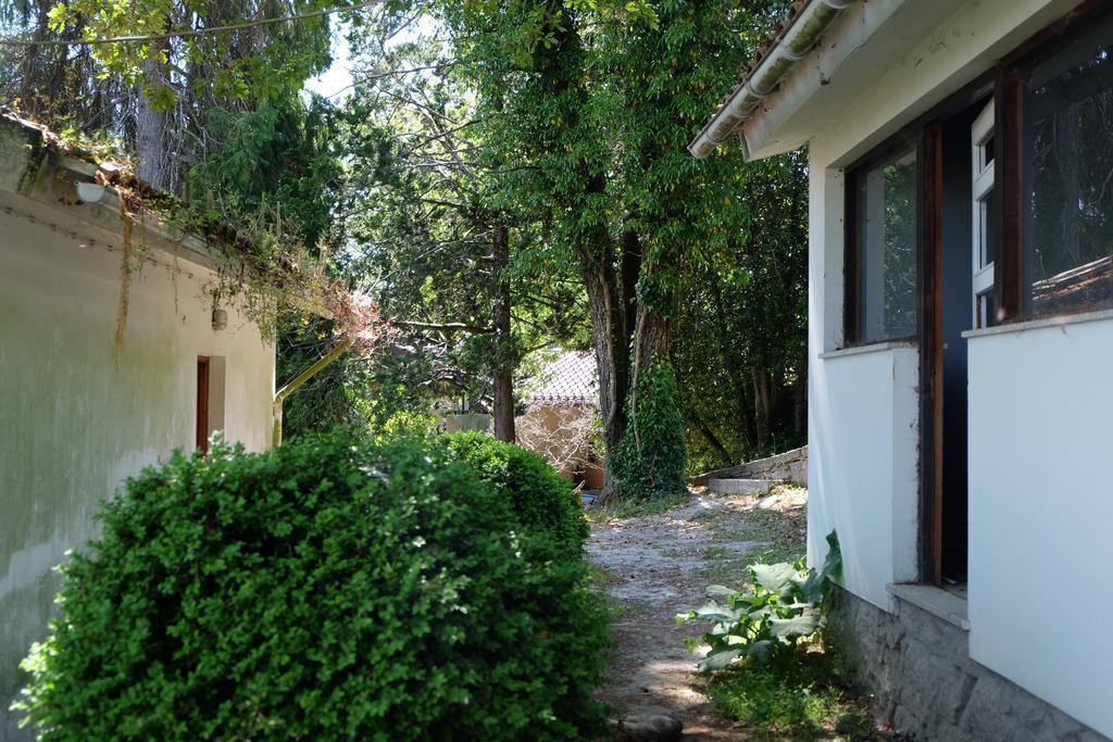 Alvores Do Tempo - Quinta De Turismo Rural Guest House Castro Daire Exterior photo