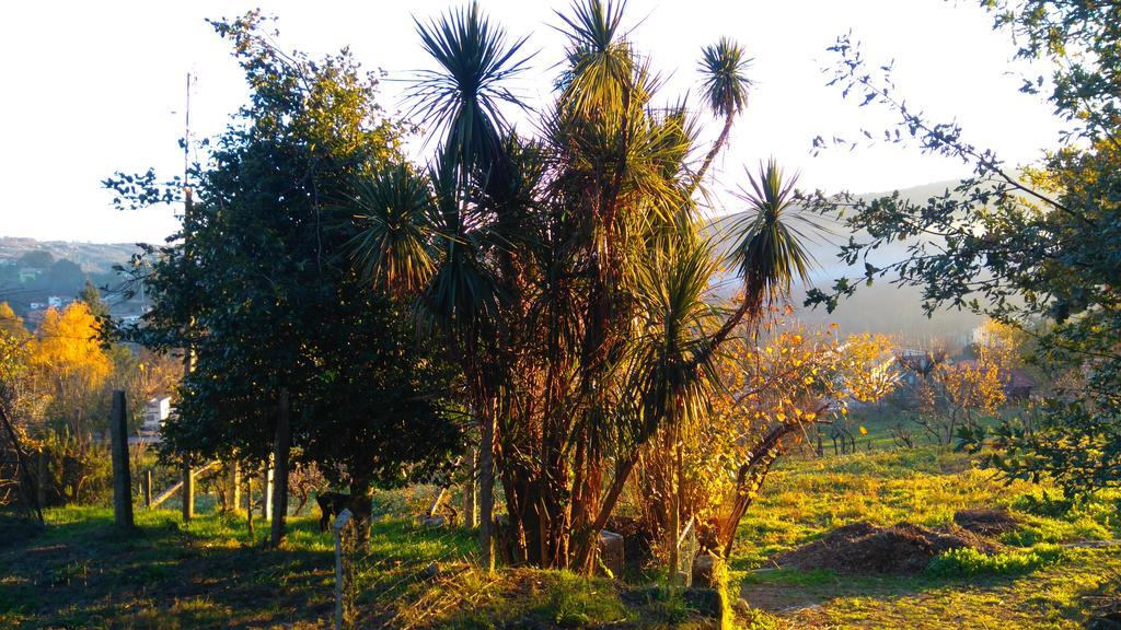 Alvores Do Tempo - Quinta De Turismo Rural Guest House Castro Daire Exterior photo